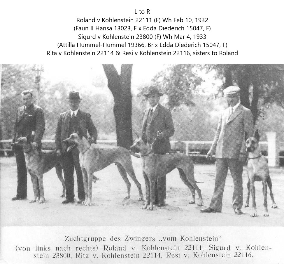 Roland v Kohlenstein